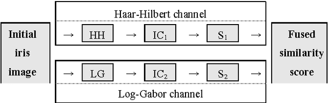 Figure 3 for Combined Haar-Hilbert and Log-Gabor Based Iris Encoders
