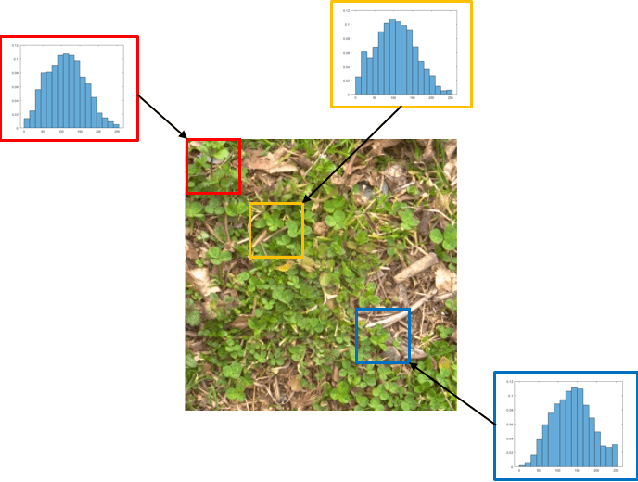 Figure 1 for Histogram Layers for Texture Analysis