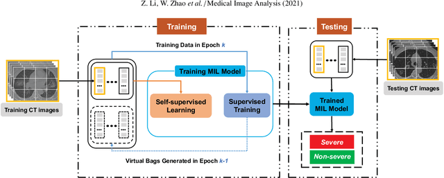 Figure 3 for A novel multiple instance learning framework for COVID-19 severity assessment via data augmentation and self-supervised learning