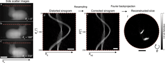 Figure 3 for On-the-fly 3D metrology of volumetric additive manufacturing