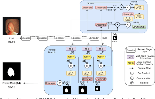 Figure 1 for CM-MLP: Cascade Multi-scale MLP with Axial Context Relation Encoder for Edge Segmentation of Medical Image