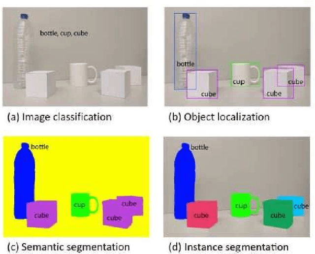 Figure 1 for Analysis of the performance of U-Net neural networks for the segmentation of living cells
