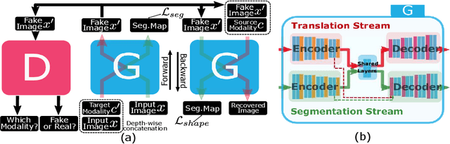 Figure 1 for Unified Attentional Generative Adversarial Network for Brain Tumor Segmentation From Multimodal Unpaired Images