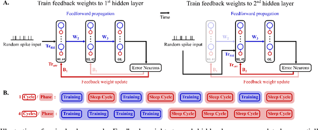 Figure 3 for BioGrad: Biologically Plausible Gradient-Based Learning for Spiking Neural Networks
