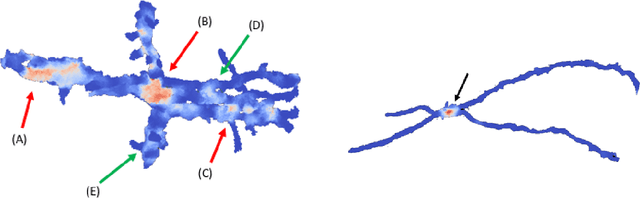 Figure 1 for Morphological Error Detection in 3D Segmentations