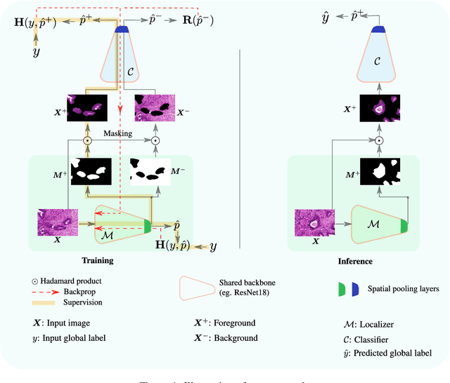 Figure 1 for Leveraging Uncertainty for Deep Interpretable Classification and Weakly-Supervised Segmentation of Histology Images