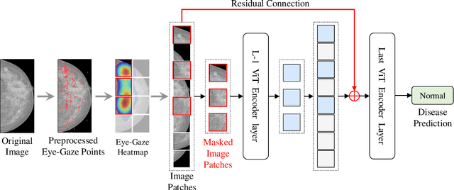 Figure 3 for Eye-gaze-guided Vision Transformer for Rectifying Shortcut Learning