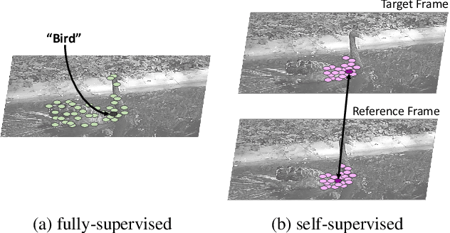Figure 3 for RPM-Net: Robust Pixel-Level Matching Networks for Self-Supervised Video Object Segmentation