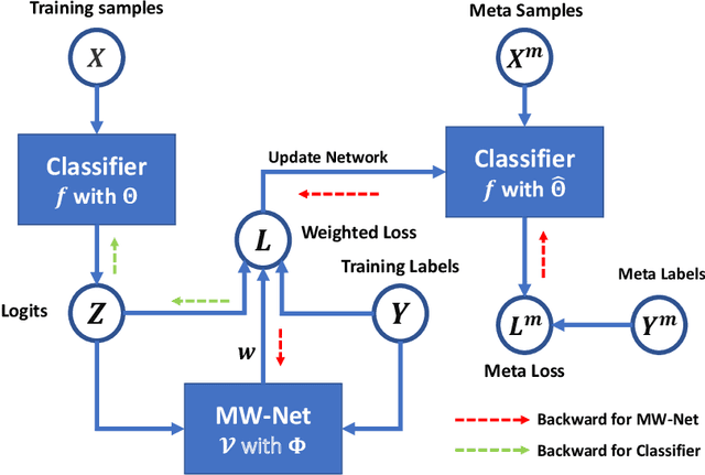 Figure 3 for MetaInfoNet: Learning Task-Guided Information for Sample Reweighting