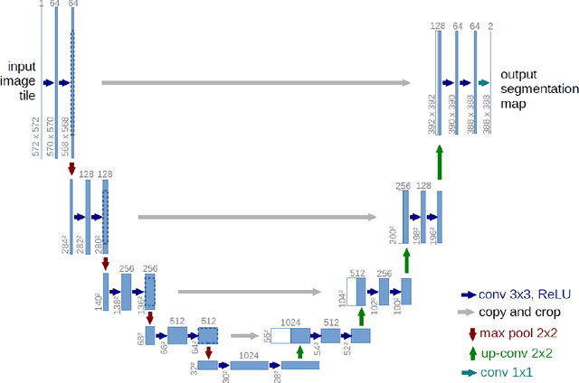 Figure 3 for Robustness of Brain Tumor Segmentation