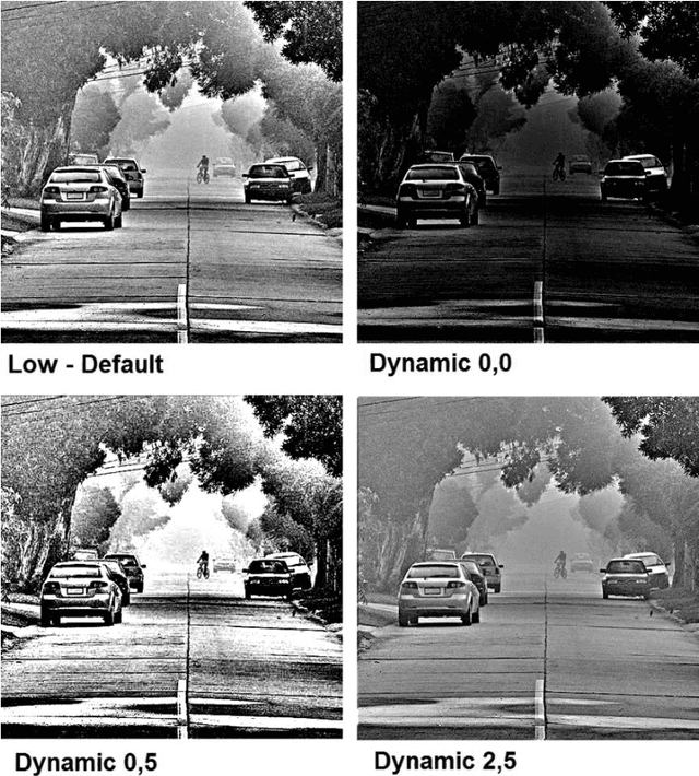 Figure 3 for Effects of GIMP Retinex Filtering Evaluated by the Image Entropy