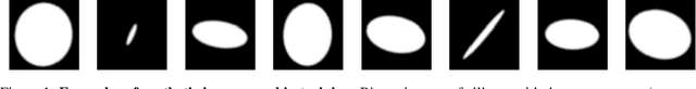 Figure 1 for A PCA-like Autoencoder