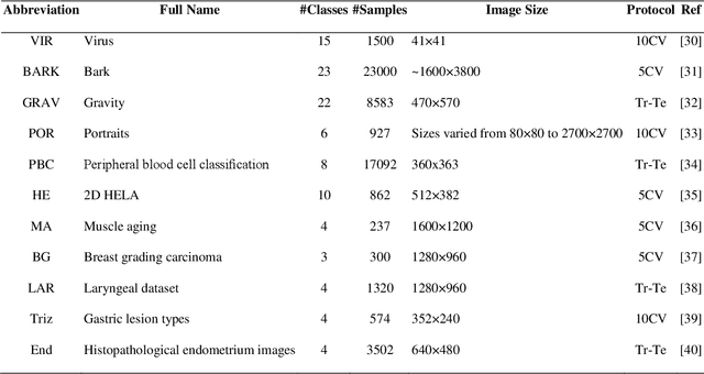 Figure 2 for Feature transforms for image data augmentation
