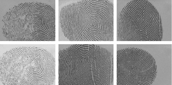 Figure 4 for FingerNet: Pushing The Limits of Fingerprint Recognition Using Convolutional Neural Network