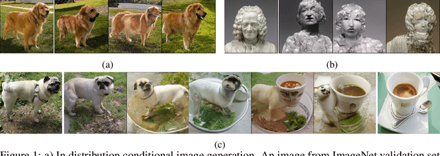 Figure 1 for High Fidelity Visualization of What Your Self-Supervised Representation Knows About