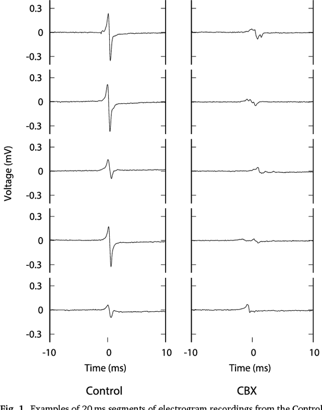 Figure 1 for Rethinking multiscale cardiac electrophysiology with machine learning and predictive modelling