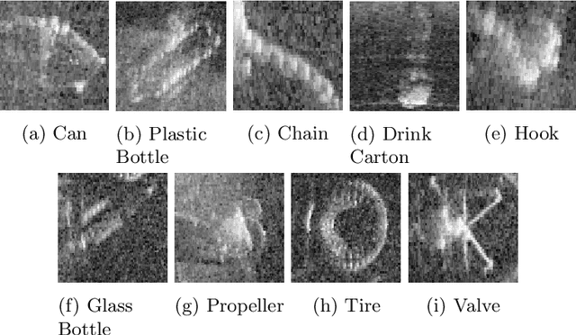 Figure 1 for Real-time convolutional networks for sonar image classification in low-power embedded systems