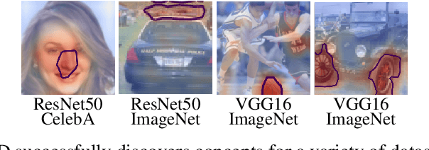 Figure 1 for Sparse Subspace Clustering for Concept Discovery (SSCCD)