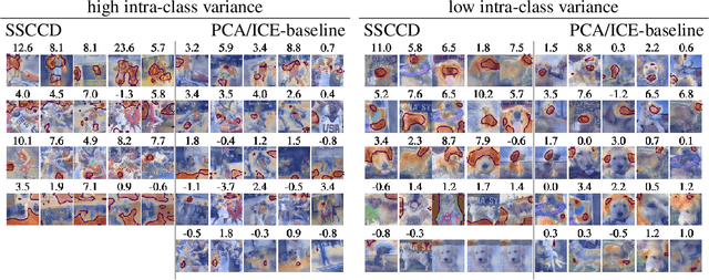 Figure 4 for Sparse Subspace Clustering for Concept Discovery (SSCCD)