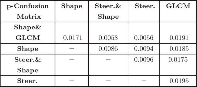 Figure 4 for Learning Shape and Texture Characteristics of CT Tree-in-Bud Opacities for CAD Systems