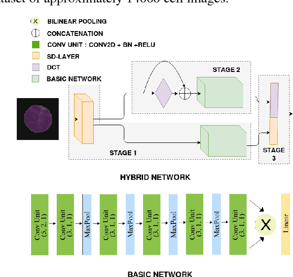 Figure 1 for LeukoNet: DCT-based CNN architecture for the classification of normal versus Leukemic blasts in B-ALL Cancer