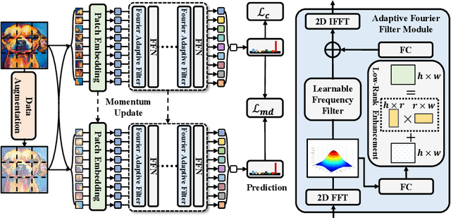 Figure 3 for FAMLP: A Frequency-Aware MLP-Like Architecture For Domain Generalization