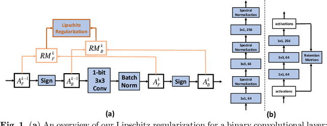 Figure 1 for Lipschitz Continuity Retained Binary Neural Network