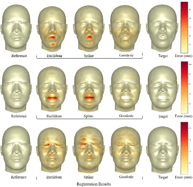 Figure 4 for Geodesic squared exponential kernel for non-rigid shape registration