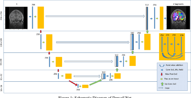 Figure 2 for DARTS: DenseUnet-based Automatic Rapid Tool for brain Segmentation