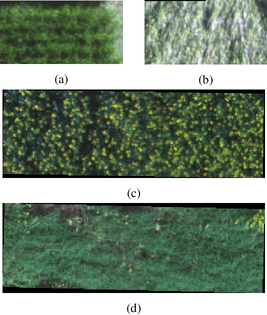 Figure 4 for Crop Lodging Prediction from UAV-Acquired Images of Wheat and Canola using a DCNN Augmented with Handcrafted Texture Features