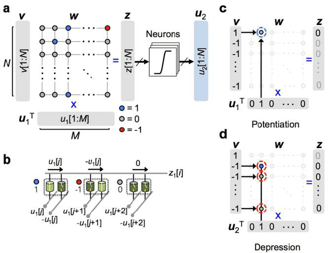 Figure 4 for Markov chain Hebbian learning algorithm with ternary synaptic units