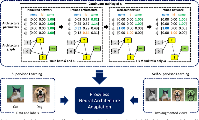 Figure 1 for Proxyless Neural Architecture Adaptation for Supervised Learning and Self-Supervised Learning