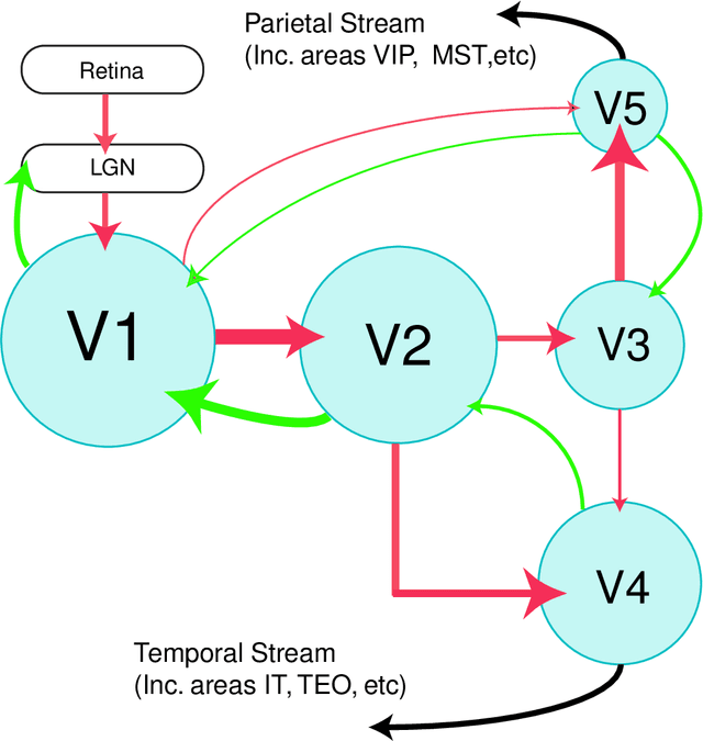 Figure 1 for Contrastive Topographic Models: Energy-based density models applied to the understanding of sensory coding and cortical topography