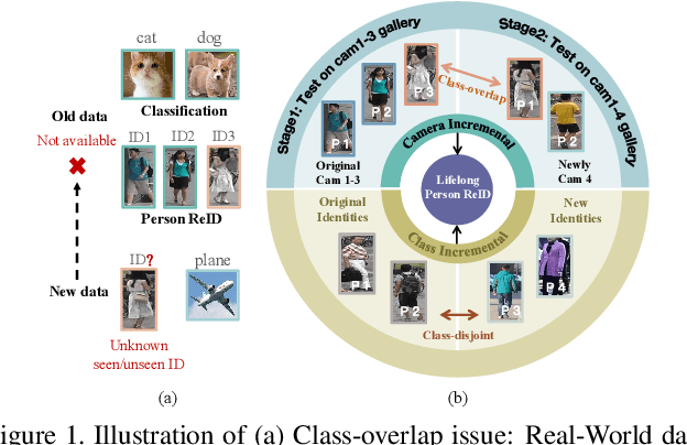 Figure 1 for Joint Plasticity Learning for Camera Incremental Person Re-Identification