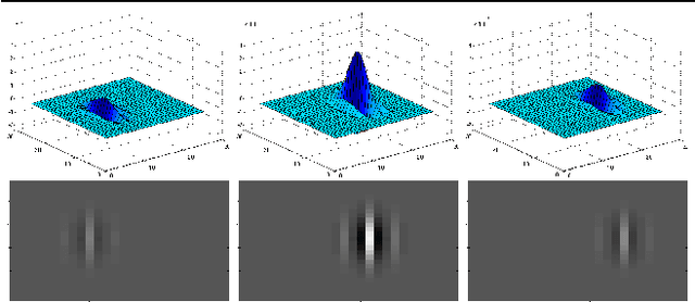 Figure 1 for Spatiotemporal Gabor filters: a new method for dynamic texture recognition