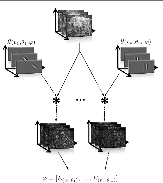 Figure 3 for Spatiotemporal Gabor filters: a new method for dynamic texture recognition