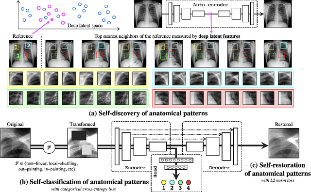 Figure 1 for Learning Semantics-enriched Representation via Self-discovery, Self-classification, and Self-restoration