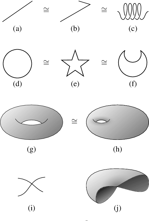 Figure 1 for Topology of Word Embeddings: Singularities Reflect Polysemy