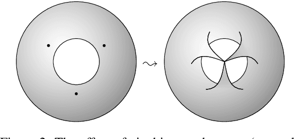 Figure 3 for Topology of Word Embeddings: Singularities Reflect Polysemy