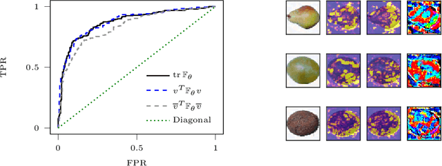 Figure 4 for Inspecting adversarial examples using the Fisher information