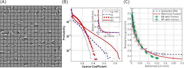 Figure 1 for Sparse models for Computer Vision