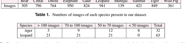Figure 2 for WhoAmI: An Automatic Tool for Visual Recognition of Tiger and Leopard Individuals in the Wild