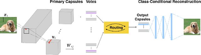 Figure 1 for Effective and Efficient Vote Attack on Capsule Networks