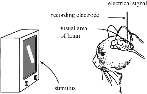 Figure 1 for Understanding Neural Networks via Feature Visualization: A survey