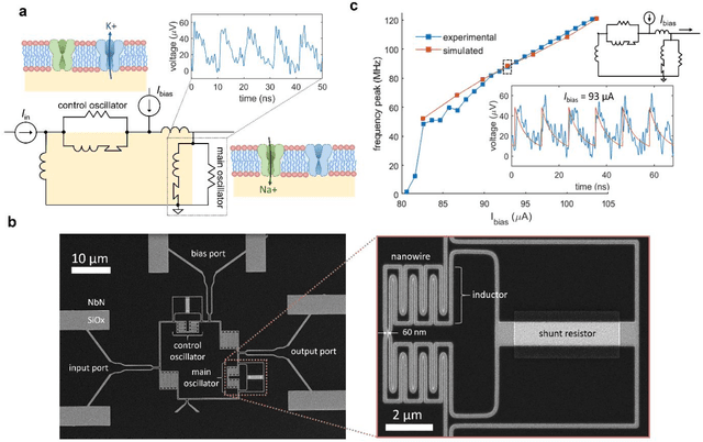 Figure 1 for A superconducting nanowire spiking element for neural networks