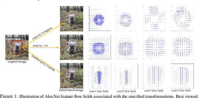 Figure 1 for What Happened to My Dog in That Network: Unraveling Top-down Generators in Convolutional Neural Networks