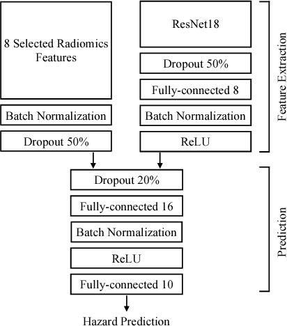 Figure 3 for Image-based Survival Analysis for Lung Cancer Patients using CNNs