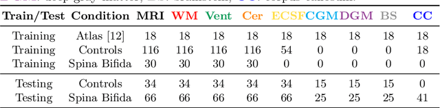 Figure 2 for Label-set Loss Functions for Partial Supervision: Application to Fetal Brain 3D MRI Parcellation