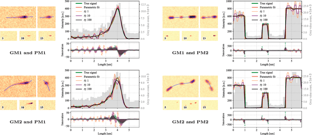 Figure 3 for A Bayesian framework for the analog reconstruction of kymographs from fluorescence microscopy data