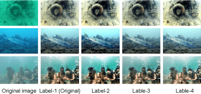 Figure 3 for Uncertainty Inspired Underwater Image Enhancement
